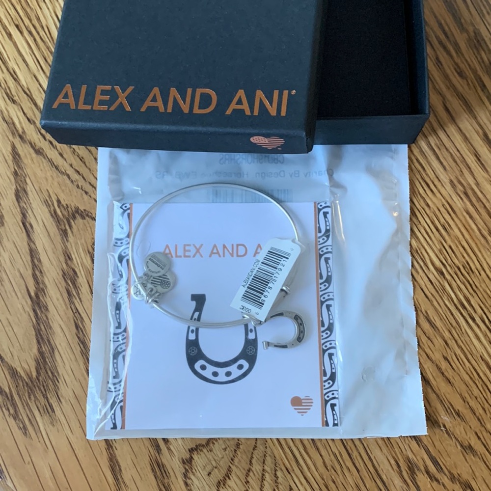 NWT Alex and Ani horseshoe charm bracelet🧲